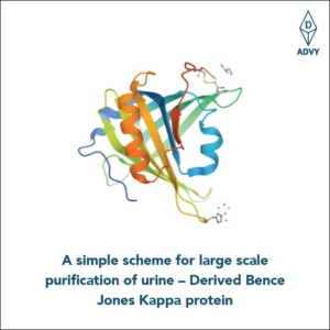 simple scheme for scale purification of urine – Derived Bence Jones protein - Advy
